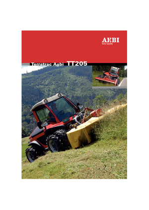 Véhicules communaux multi-usages à diesel diesel Aebi TT 205