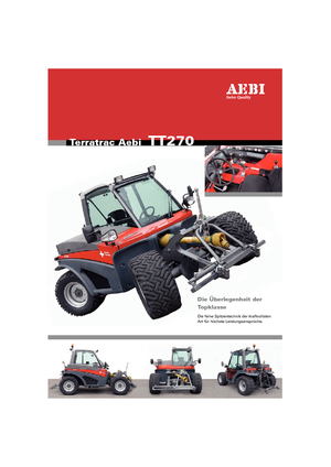 Véhicules communaux multi-usages à diesel diesel Aebi TT 270