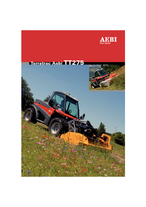 Véhicules communaux multi-usages à diesel diesel Aebi TT 275