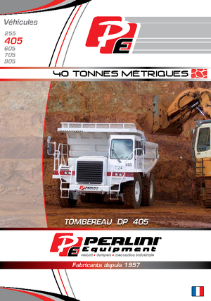 Tombereaux Rigides Perlini DP 405 WD