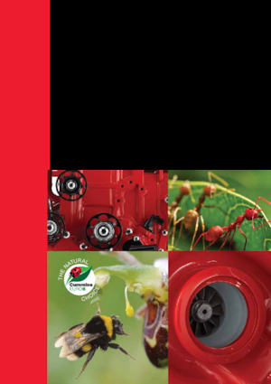 Moteurs Cummins ISB4.5