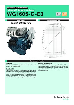 Moteurs Kubota WG1605-G-E3
