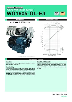 Moteurs Kubota WG1605-GL-E3