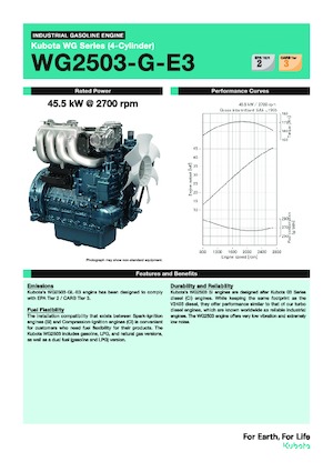 Moteurs Kubota WG2503-G-E3