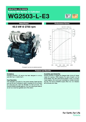 Moteurs Kubota WG2503-L-E3