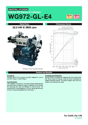 Moteurs Kubota WG972-GL-E4