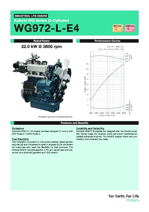 Moteurs Kubota WG972-L-E4