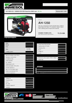 Groupes électrogènes à essence INMESOL AH 1250-CA