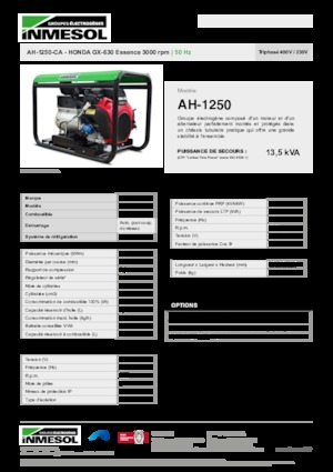 Groupes électrogènes à essence INMESOL AH 1250-CA