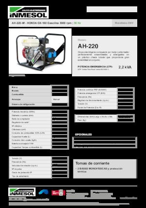 Groupes électrogènes à essence INMESOL AH-220-M