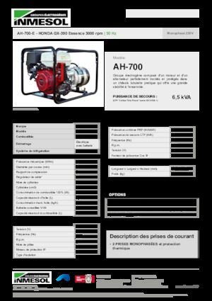 Groupes électrogènes à essence INMESOL AH-700-E
