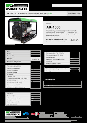 Groupes électrogènes à essence INMESOL AK-1300-CA