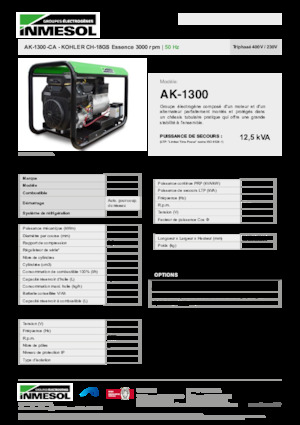 Groupes électrogènes à essence INMESOL AK-1300-CA