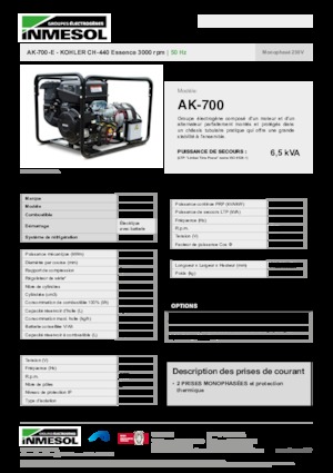 Groupes électrogènes à essence INMESOL AK-700-E