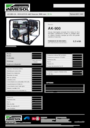 Groupes électrogènes à essence INMESOL AK-900-CA