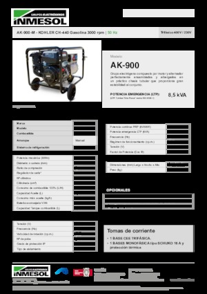 Groupes électrogènes à essence INMESOL AK-900-M
