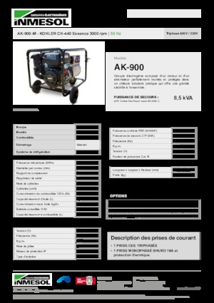 Groupes électrogènes à essence INMESOL AK-900-M