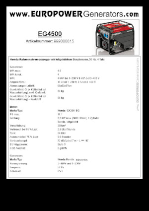 Groupes électrogènes à essence Europower EG4500