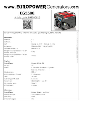 Groupes électrogènes à essence Europower EG5500