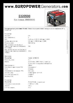 Groupes électrogènes à essence Europower EG5500