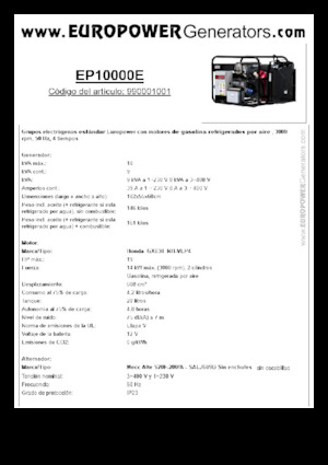 Groupes électrogènes à essence Europower EP10000E (MA)