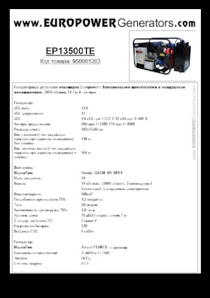 Groupes électrogènes à essence Europower EP13500TE (S)