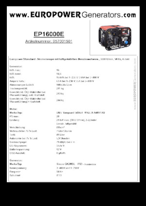 Groupes électrogènes à essence Europower EP16000E (S)