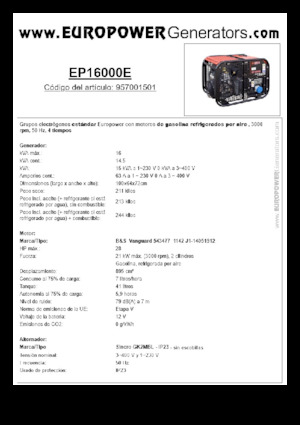 Groupes électrogènes à essence Europower EP16000E (S)
