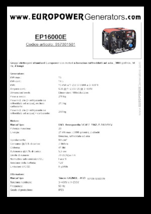 Groupes électrogènes à essence Europower EP16000E (S)