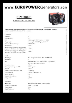 Groupes électrogènes à essence Europower EP16000E (S)
