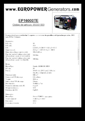 Groupes électrogènes à essence Europower EP16000TE (S)