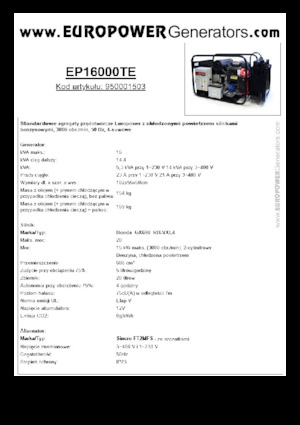 Groupes électrogènes à essence Europower EP16000TE (S)