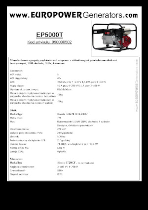 Groupes électrogènes à essence Europower EP5000T (S)