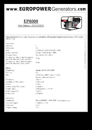 Groupes électrogènes à essence Europower EP6000 (S)