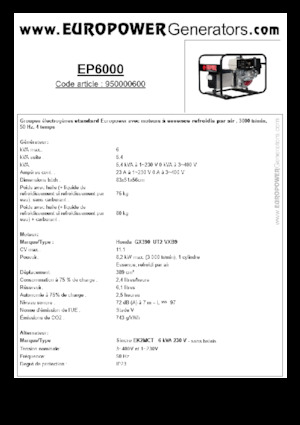 Groupes électrogènes à essence Europower EP6000 (S)