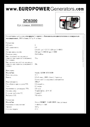 Groupes électrogènes à essence Europower EP6000 (S)