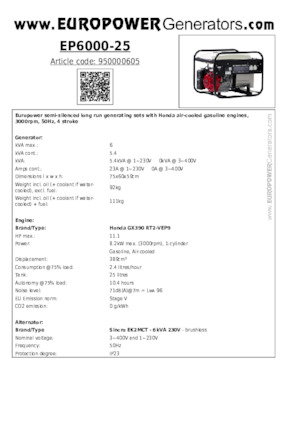 Groupes électrogènes à essence Europower EP6000-25 (S)