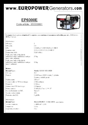 Groupes électrogènes à essence Europower EP6000E (S)