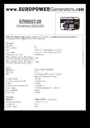 Groupes électrogènes à essence Europower EP6500T-25 (S)