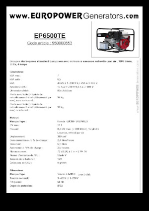 Groupes électrogènes à essence Europower EP6500TE (S)