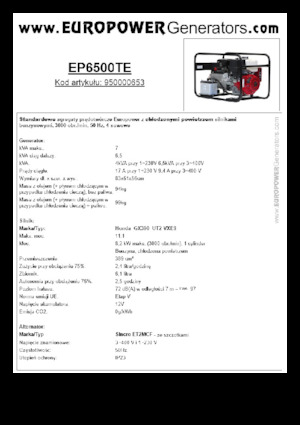 Groupes électrogènes à essence Europower EP6500TE (S)