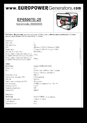 Groupes électrogènes à essence Europower EP6500TE-25 (S)
