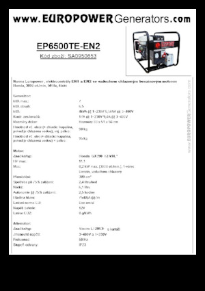 Groupes électrogènes à essence Europower EP6500TE-EN2 (S)
