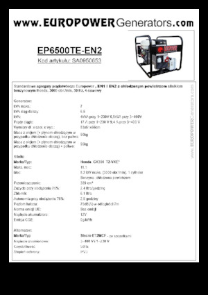 Groupes électrogènes à essence Europower EP6500TE-EN2 (S)
