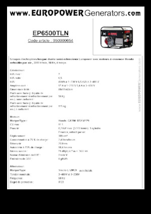 Groupes électrogènes à essence Europower EP6500TLN (S)