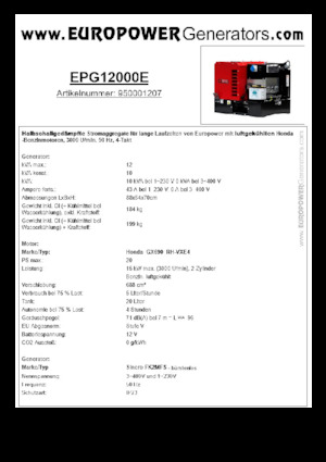 Groupes électrogènes à essence Europower EPG12000E (S)