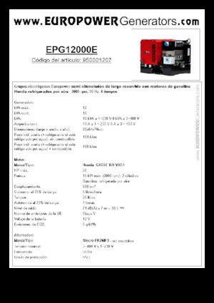Groupes électrogènes à essence Europower EPG12000E (S)