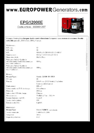 Groupes électrogènes à essence Europower EPG12000E (S)