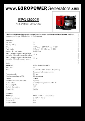 Groupes électrogènes à essence Europower EPG12000E (S)