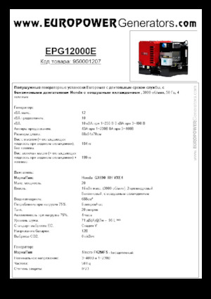 Groupes électrogènes à essence Europower EPG12000E (S)